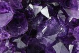 Free-Standing Amethyst Crystal Cluster - Uruguay #368250-1